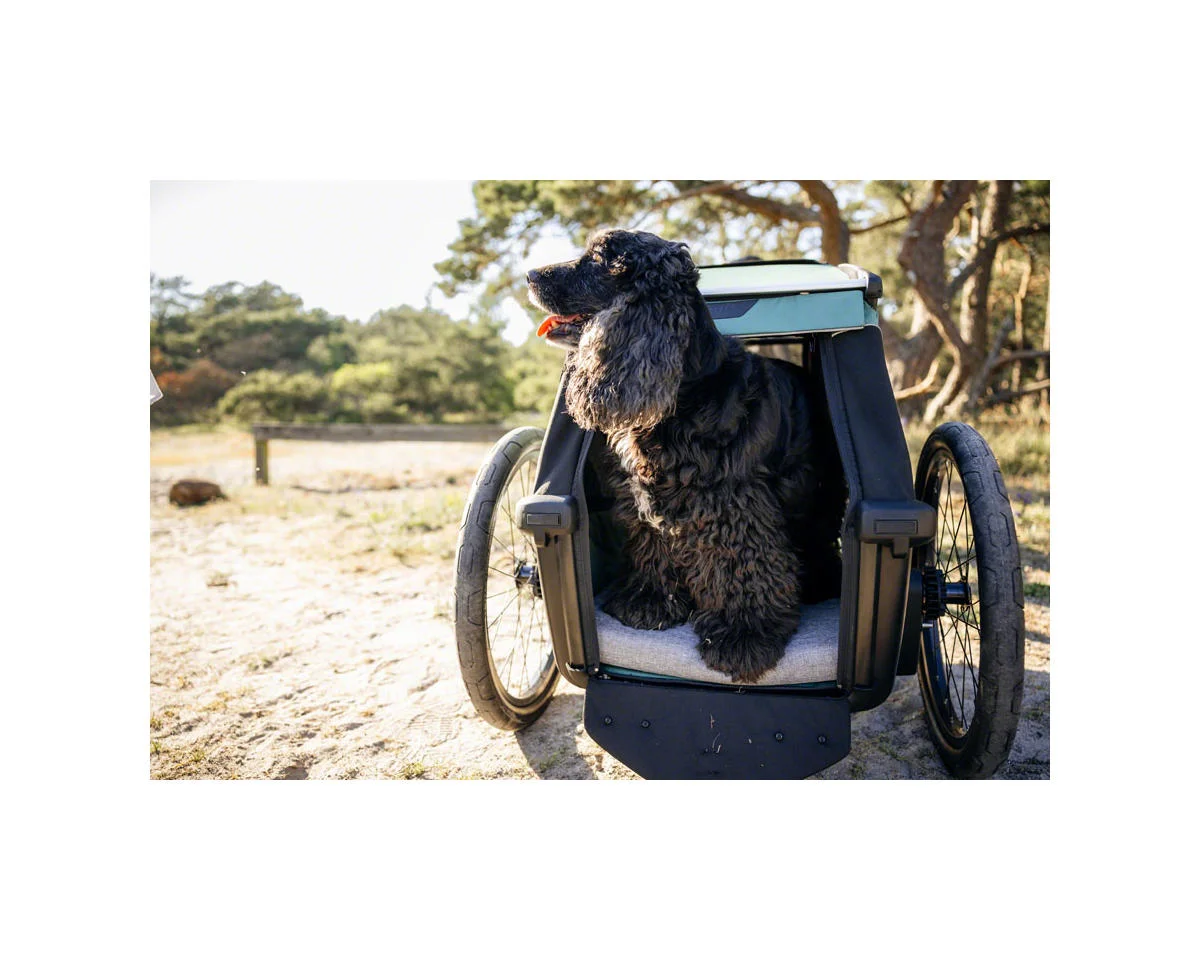 Thule Bexey Dog Bed (M) - view 3